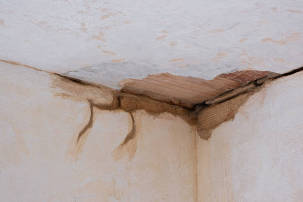 Best Local water damage restoration  in Wilkinsburg, PA