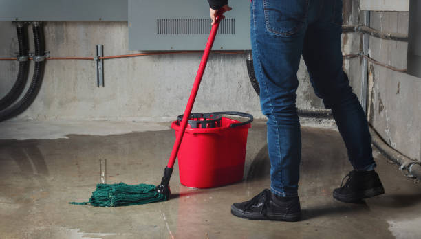 Best Sewage cleanup and water damage restoration  in Wilkinsburg, PA