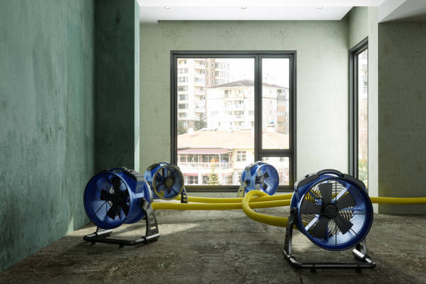 Best Fire Damage Restoration  in Wilkinsburg, PA