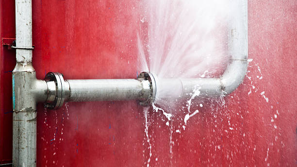 Best Emergency water extraction  in Wilkinsburg, PA