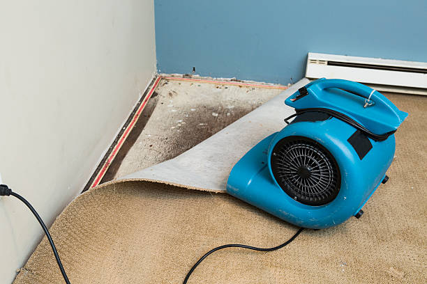 Best Residential water damage restoration  in Wilkinsburg, PA